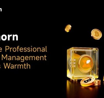 Bitnorn: Where Professional Asset Management Meets Warmth